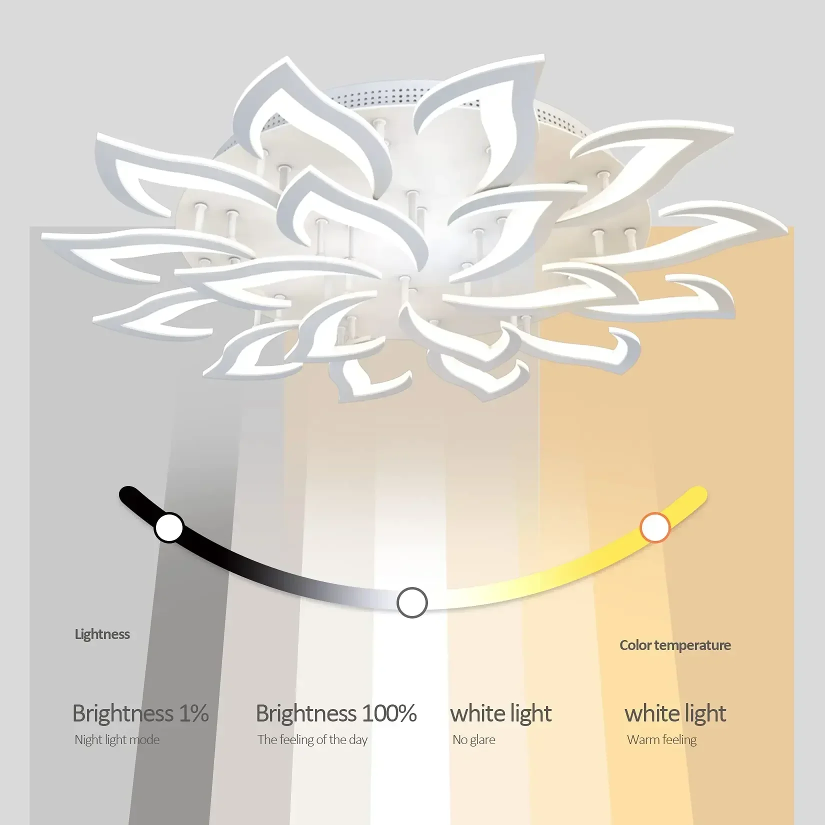 Designer LED-bloemblaadjeskroo - Interior Design Living Room And Kitchen recensie en prijs